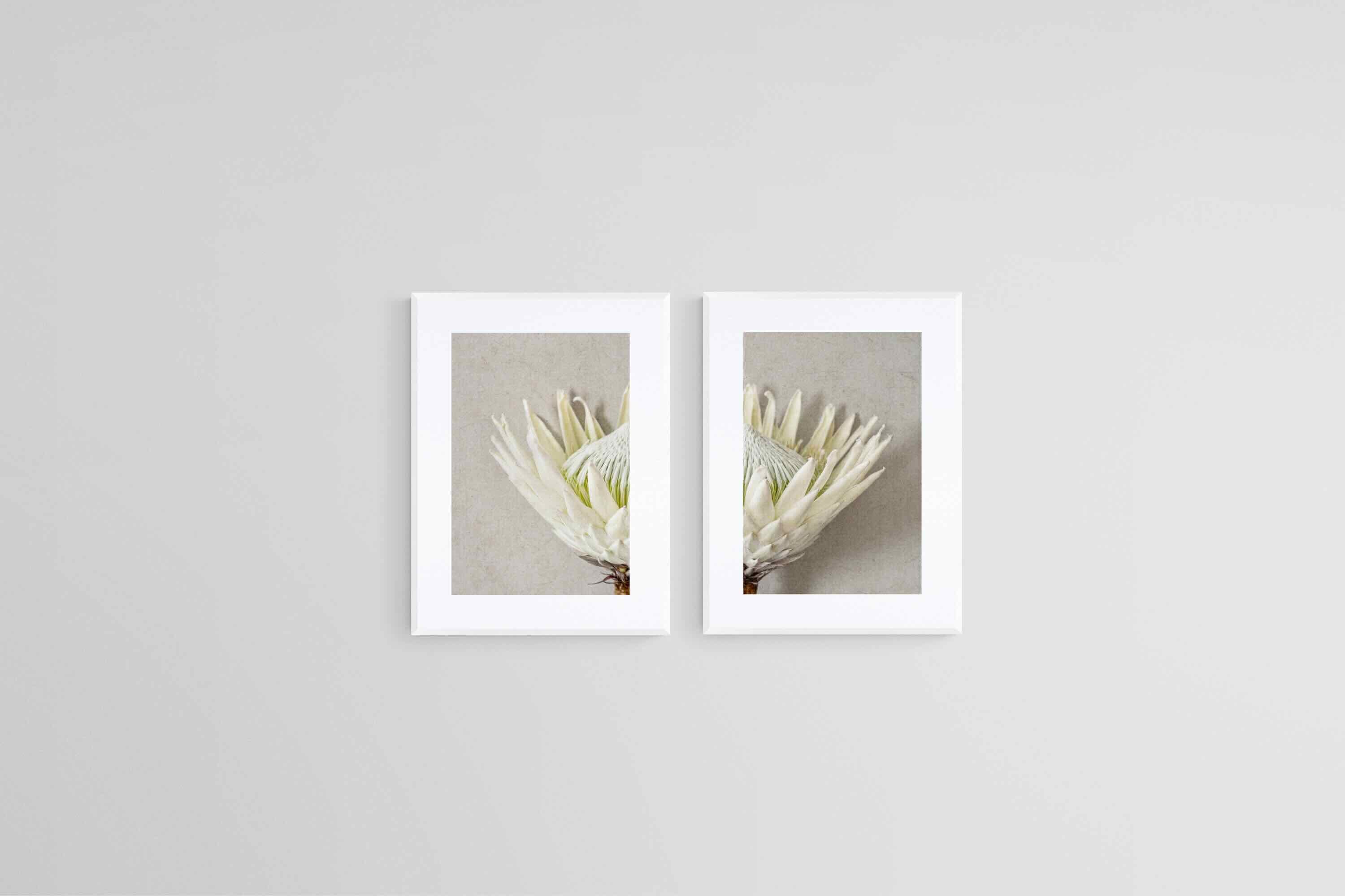 Split White King Protea Set-Wall_Art-45 x 60cm (x2)-Framed Print-White-Pixalot