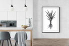 Pixalot Spotted Aloe