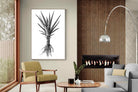 Pixalot Spotted Aloe