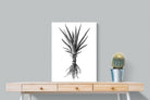 Pixalot Spotted Aloe