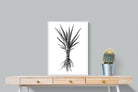 Pixalot Spotted Aloe