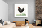 Pixalot Standing Black Chicken