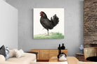 Pixalot Standing Black Chicken