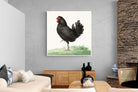 Pixalot Standing Black Chicken