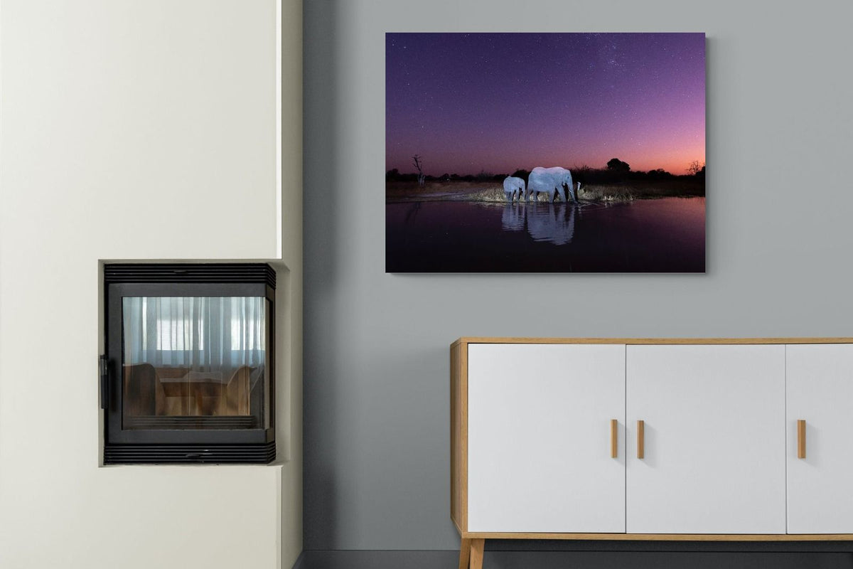 Pixalot ® Starlit Waterhole