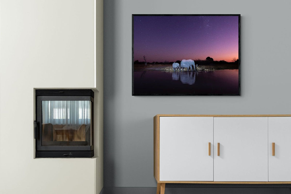 Pixalot ® Starlit Waterhole