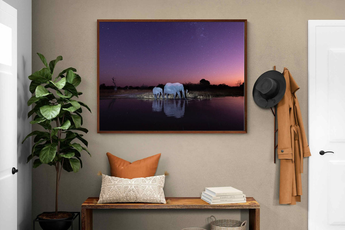 Pixalot ® Starlit Waterhole