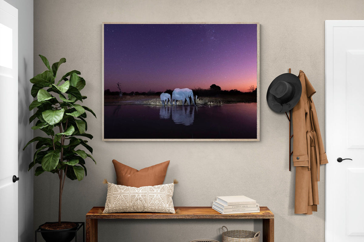 Pixalot ® Starlit Waterhole