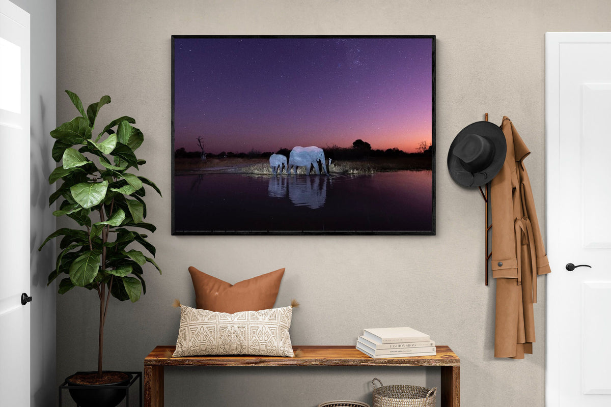 Pixalot ® Starlit Waterhole