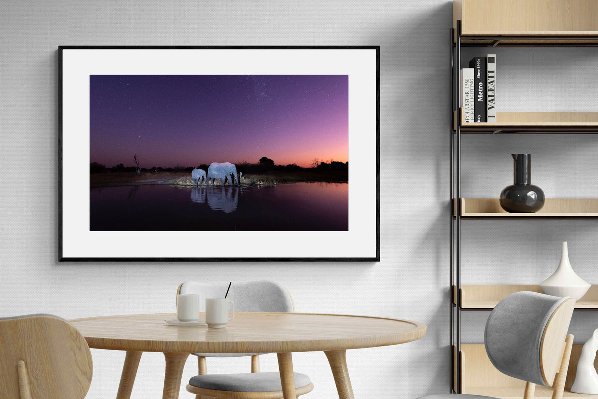 Pixalot ® Starlit Waterhole