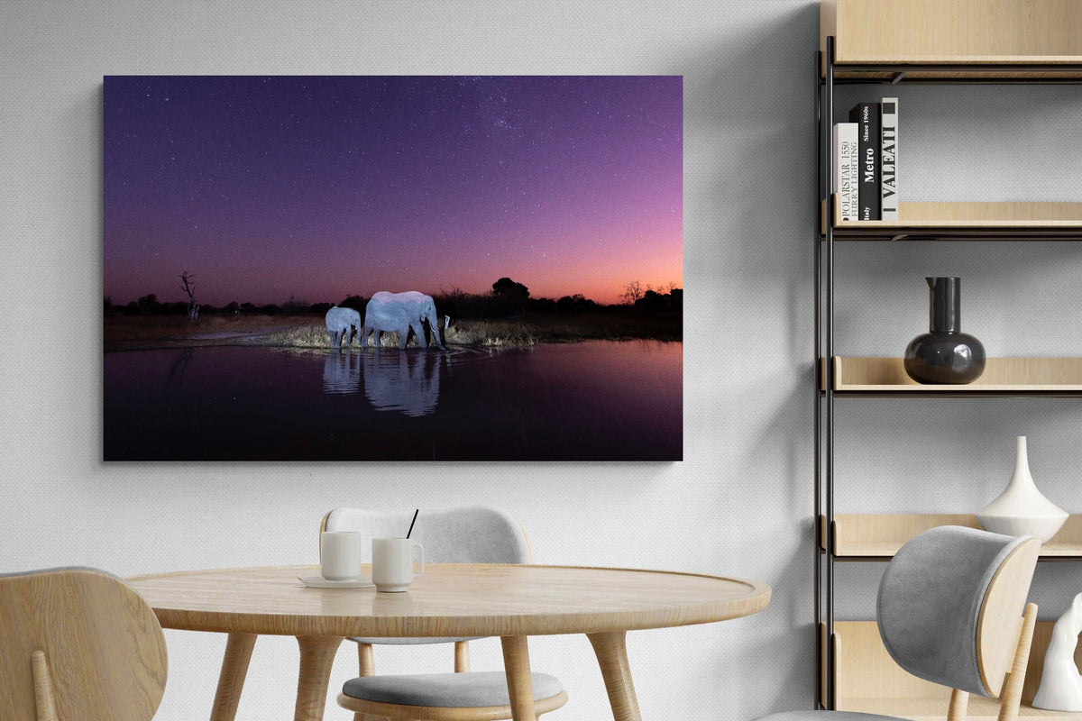 Pixalot ® Starlit Waterhole