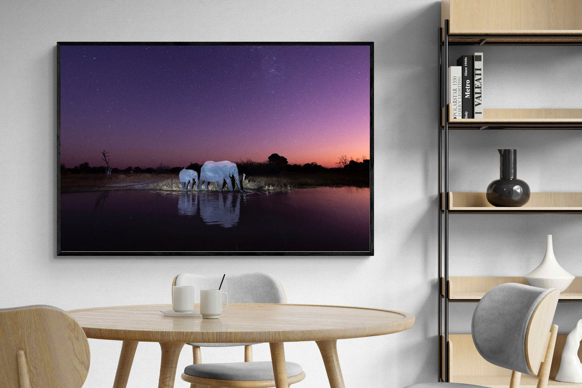 Pixalot ® Starlit Waterhole