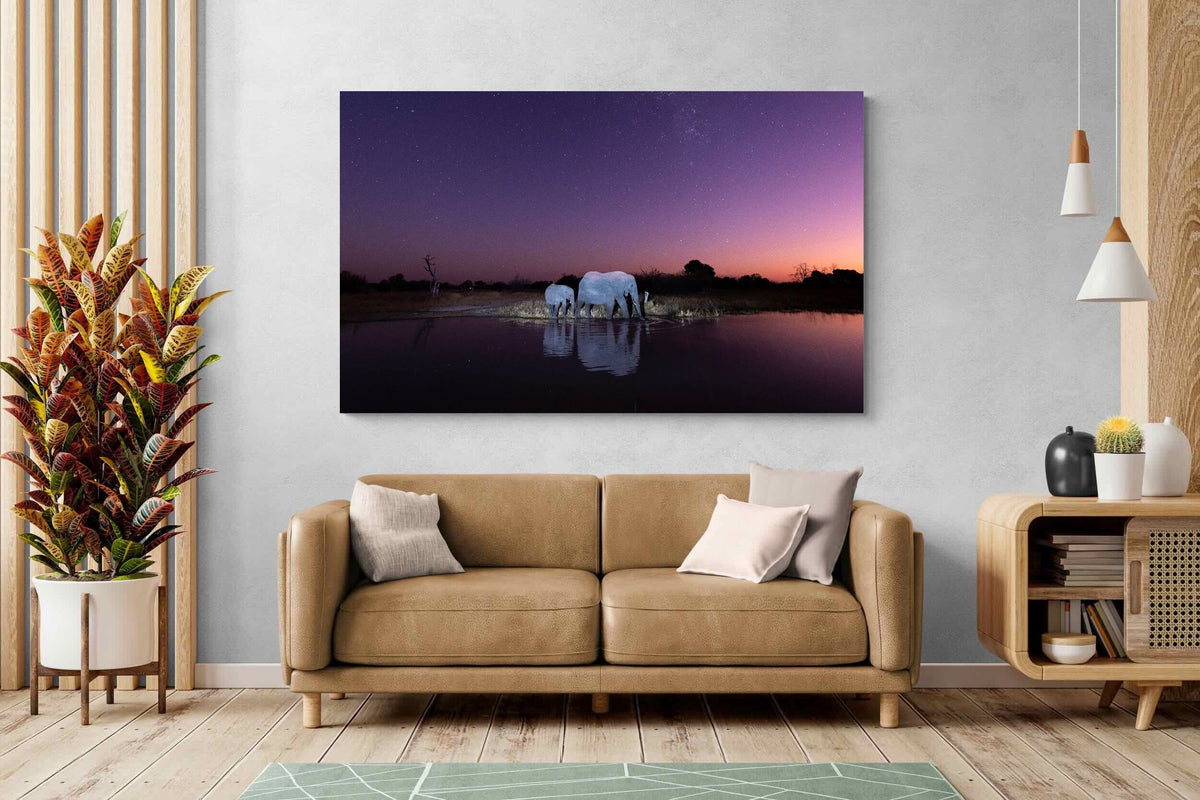 Pixalot ® Starlit Waterhole