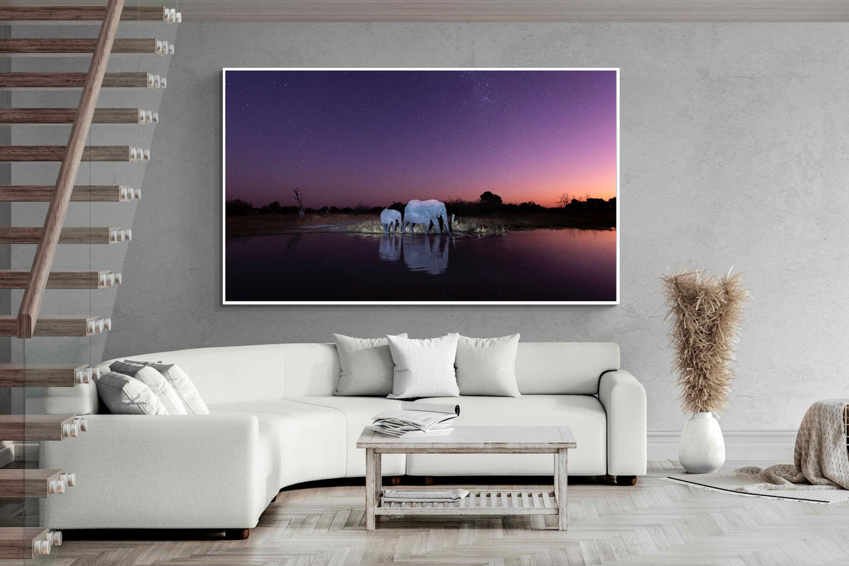 Pixalot ® Starlit Waterhole