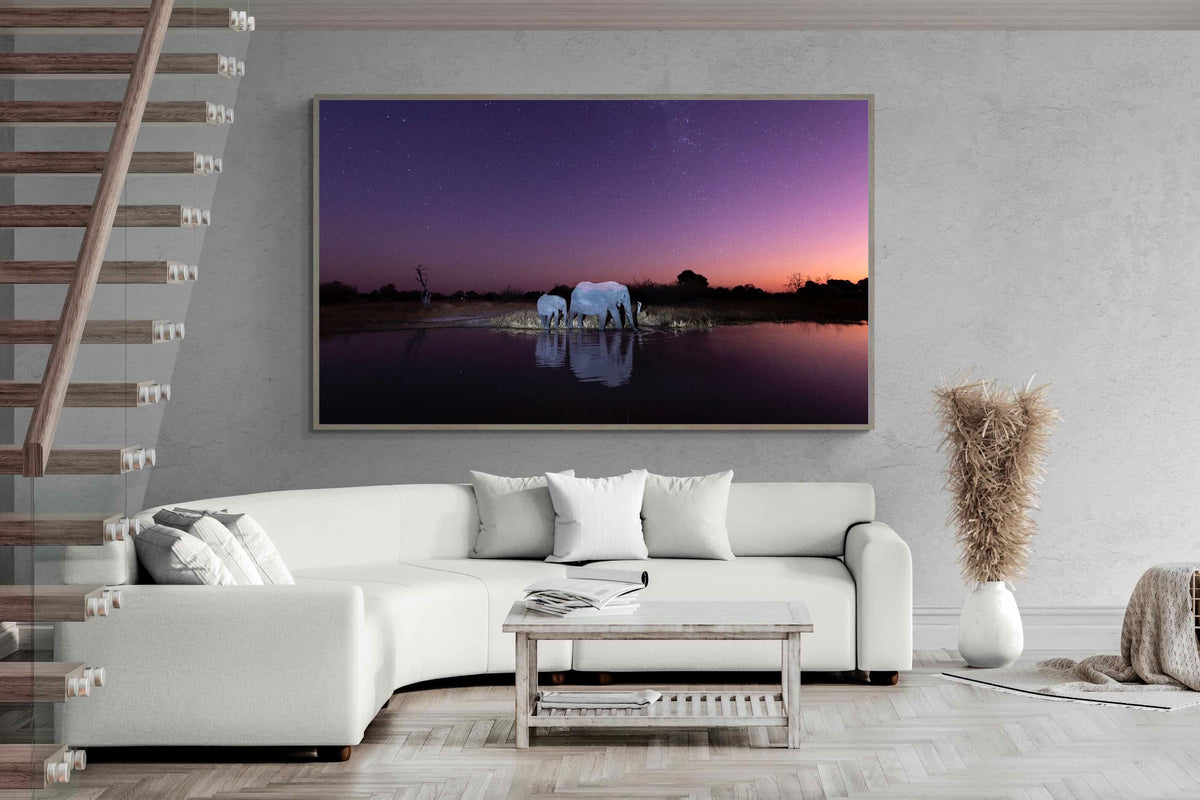 Pixalot ® Starlit Waterhole