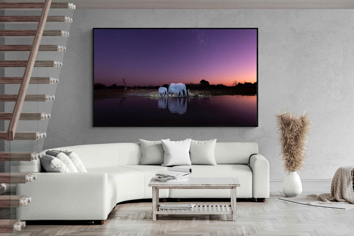 Pixalot ® Starlit Waterhole