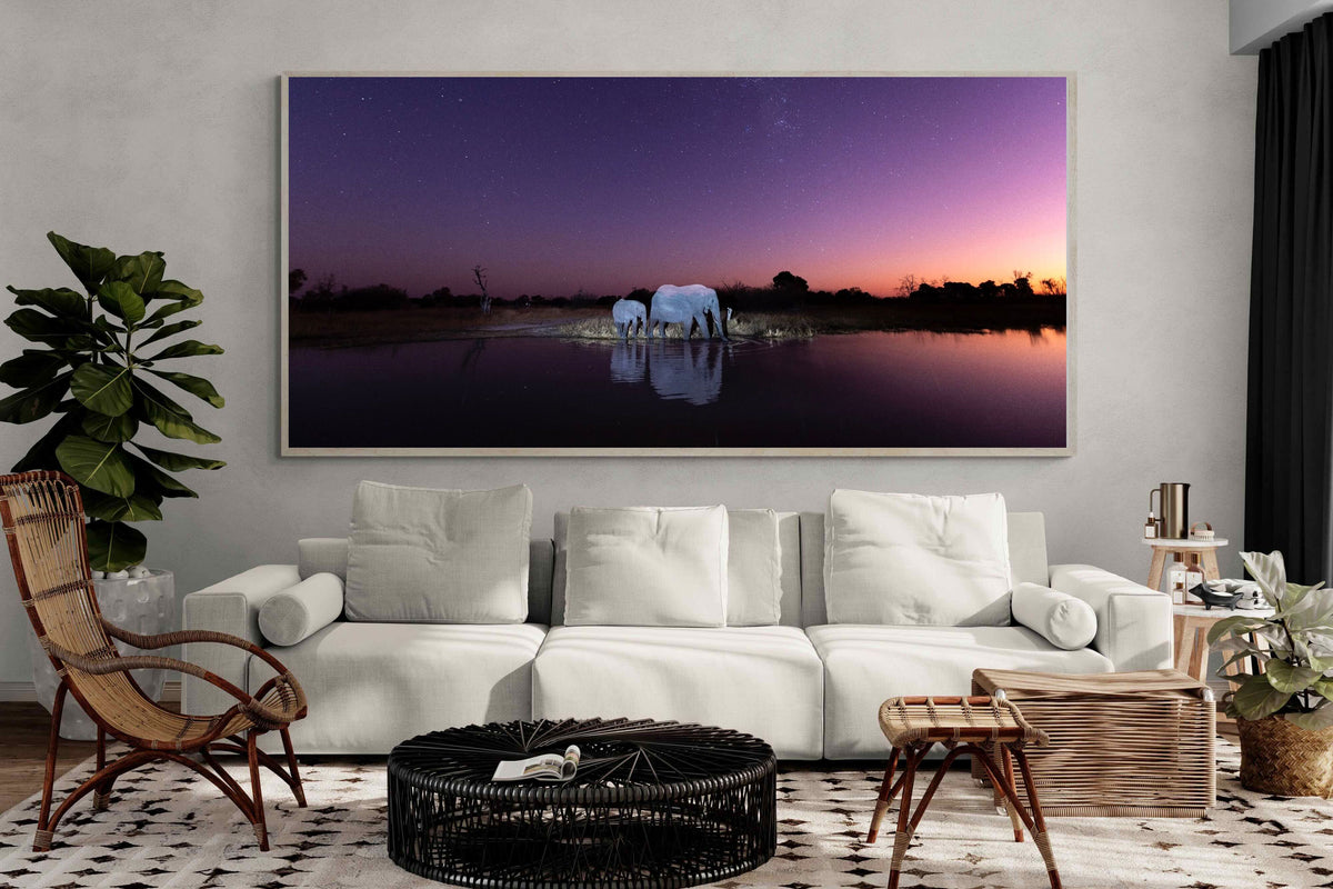 Pixalot ® Starlit Waterhole