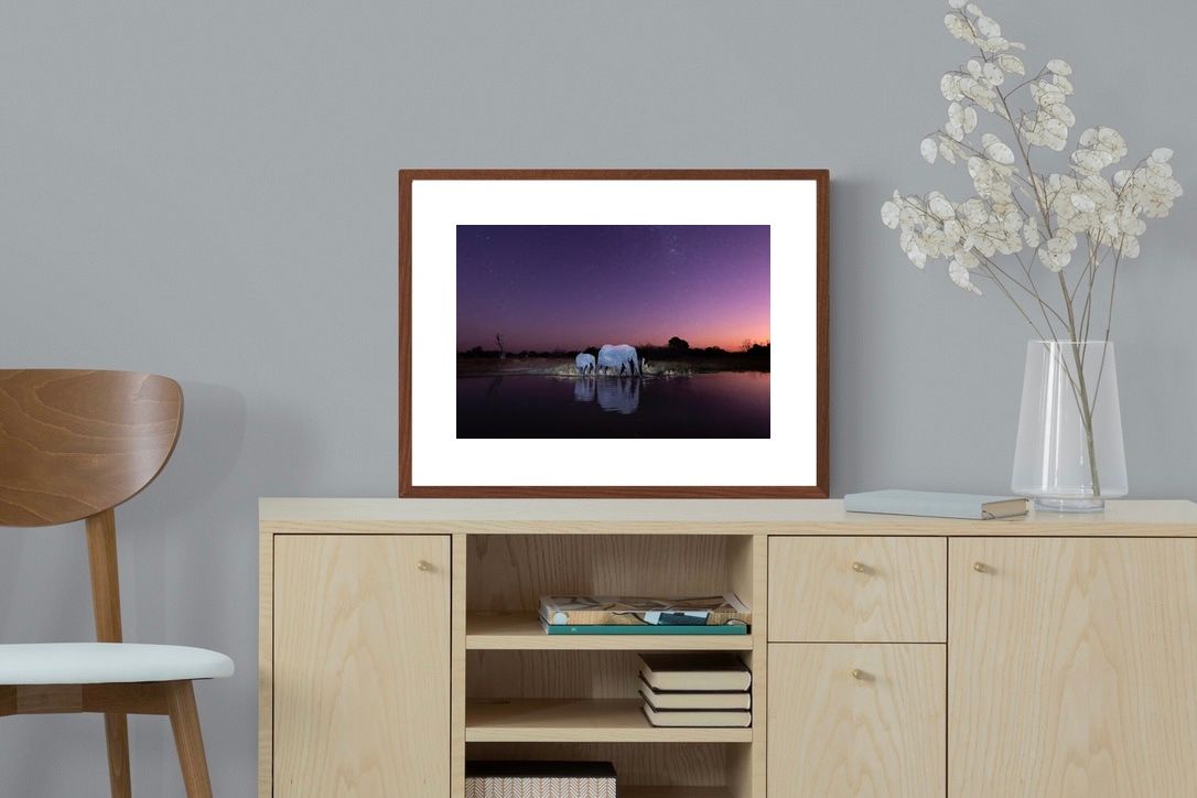 Pixalot ® Starlit Waterhole