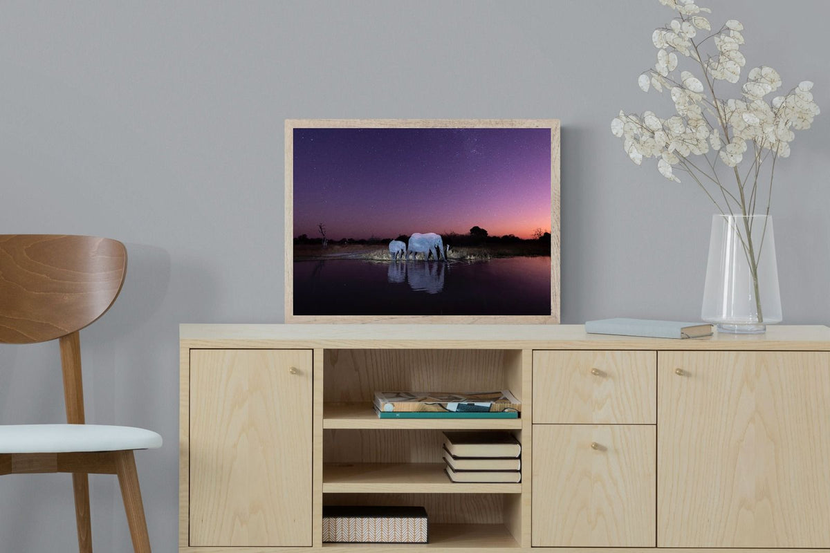 Pixalot ® Starlit Waterhole