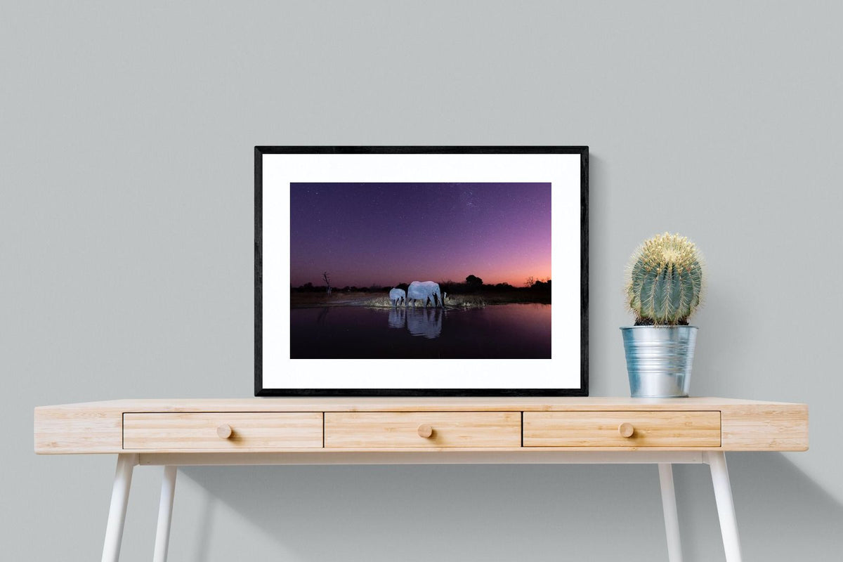 Pixalot ® Starlit Waterhole
