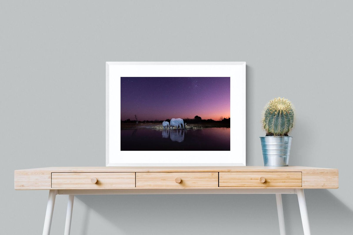 Pixalot ® Starlit Waterhole