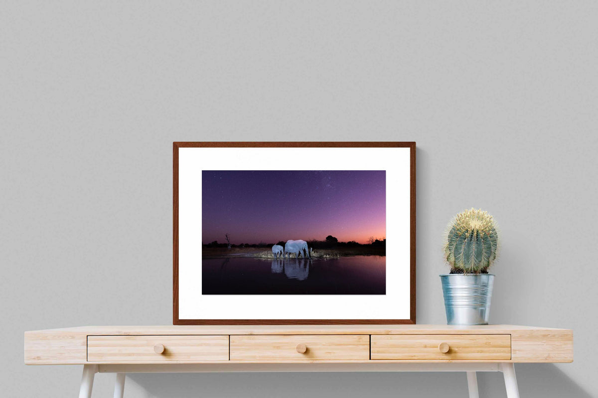 Pixalot ® Starlit Waterhole