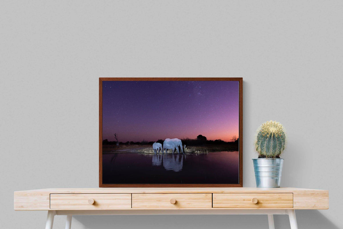 Pixalot ® Starlit Waterhole
