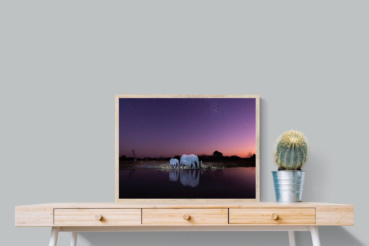 Pixalot ® Starlit Waterhole