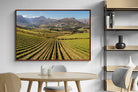 Pixalot ® Stellenbosch