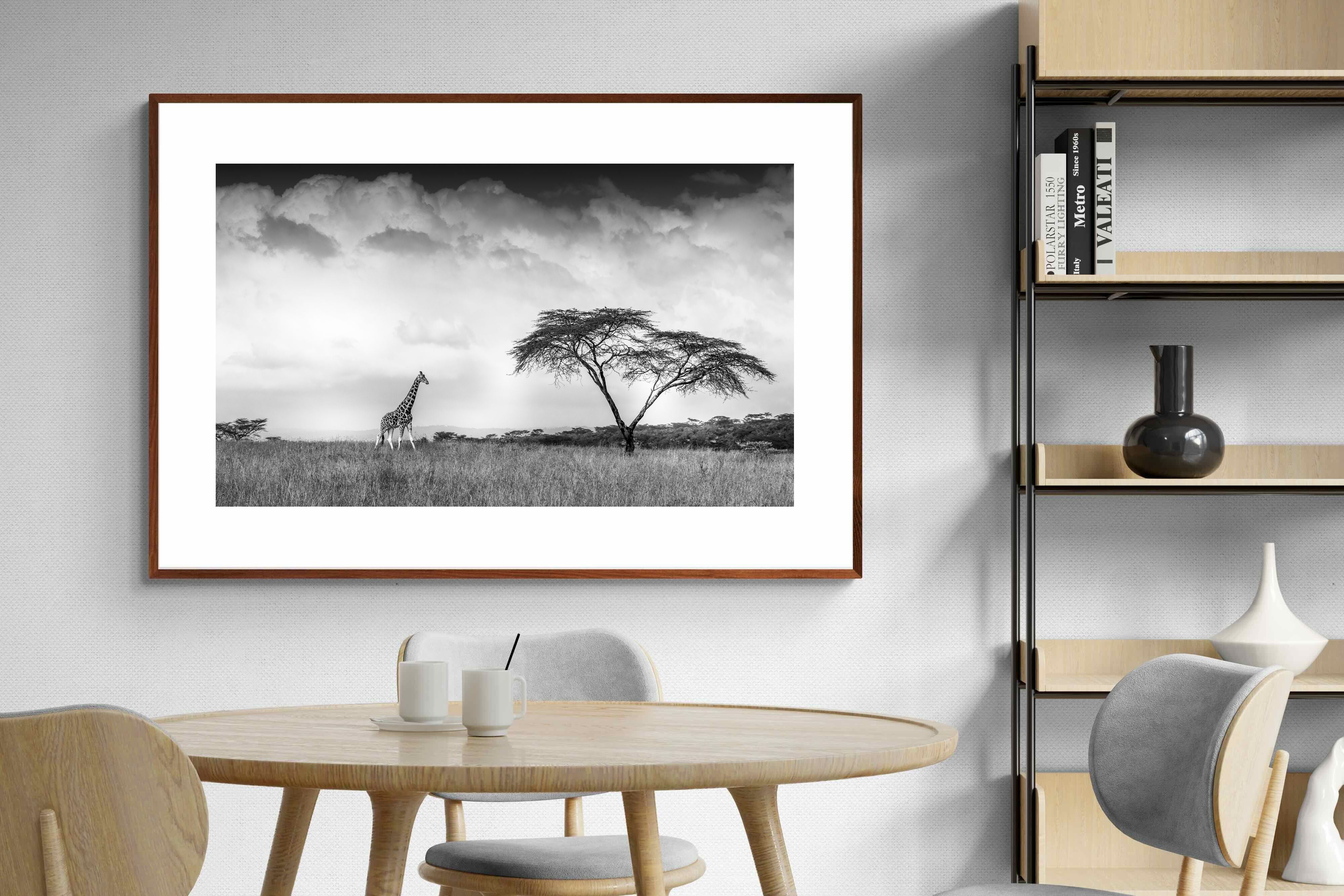 Pixalot ® Stormy Africa