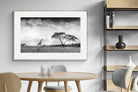 Pixalot ® Stormy Africa