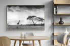 Pixalot ® Stormy Africa