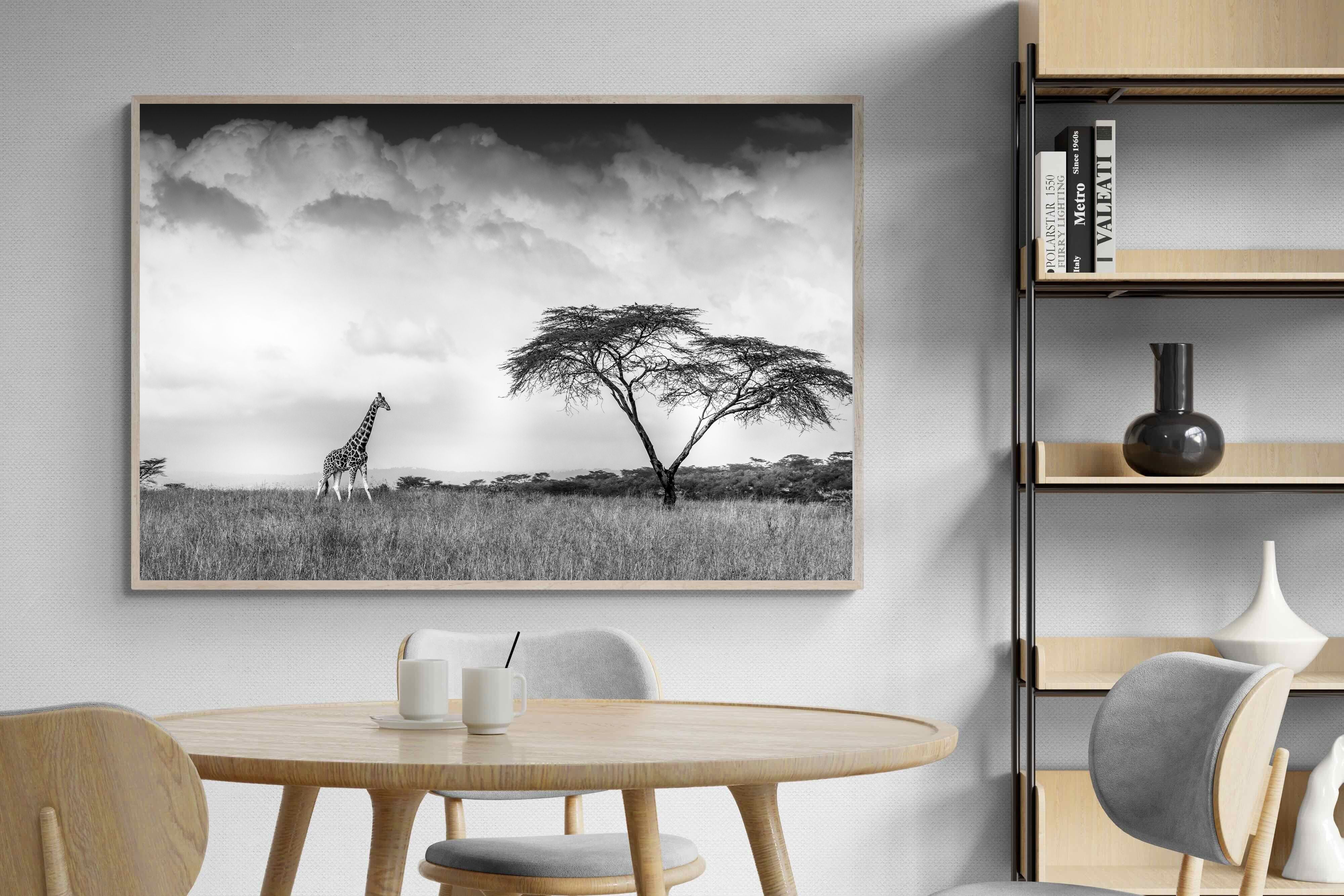 Pixalot ® Stormy Africa