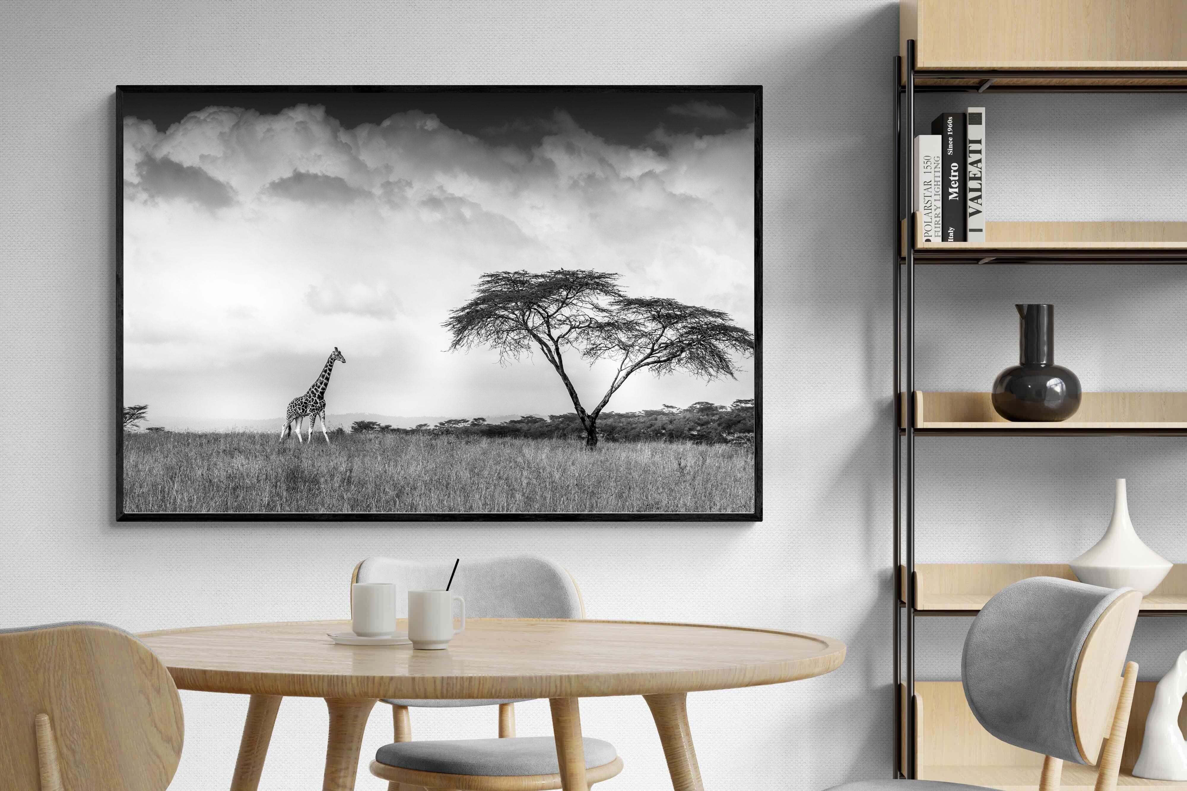 Pixalot ® Stormy Africa