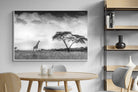 Pixalot ® Stormy Africa