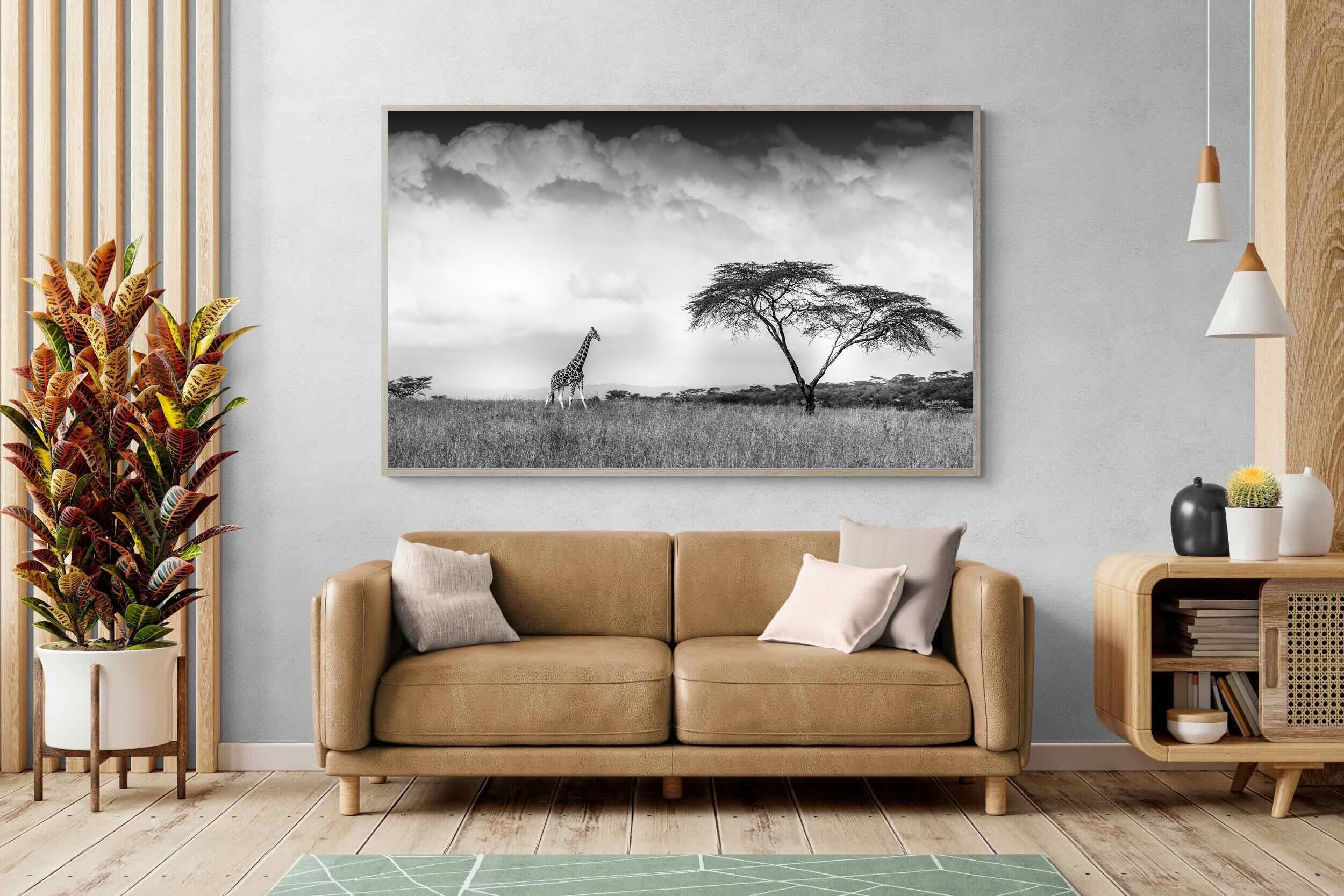 Pixalot ® Stormy Africa