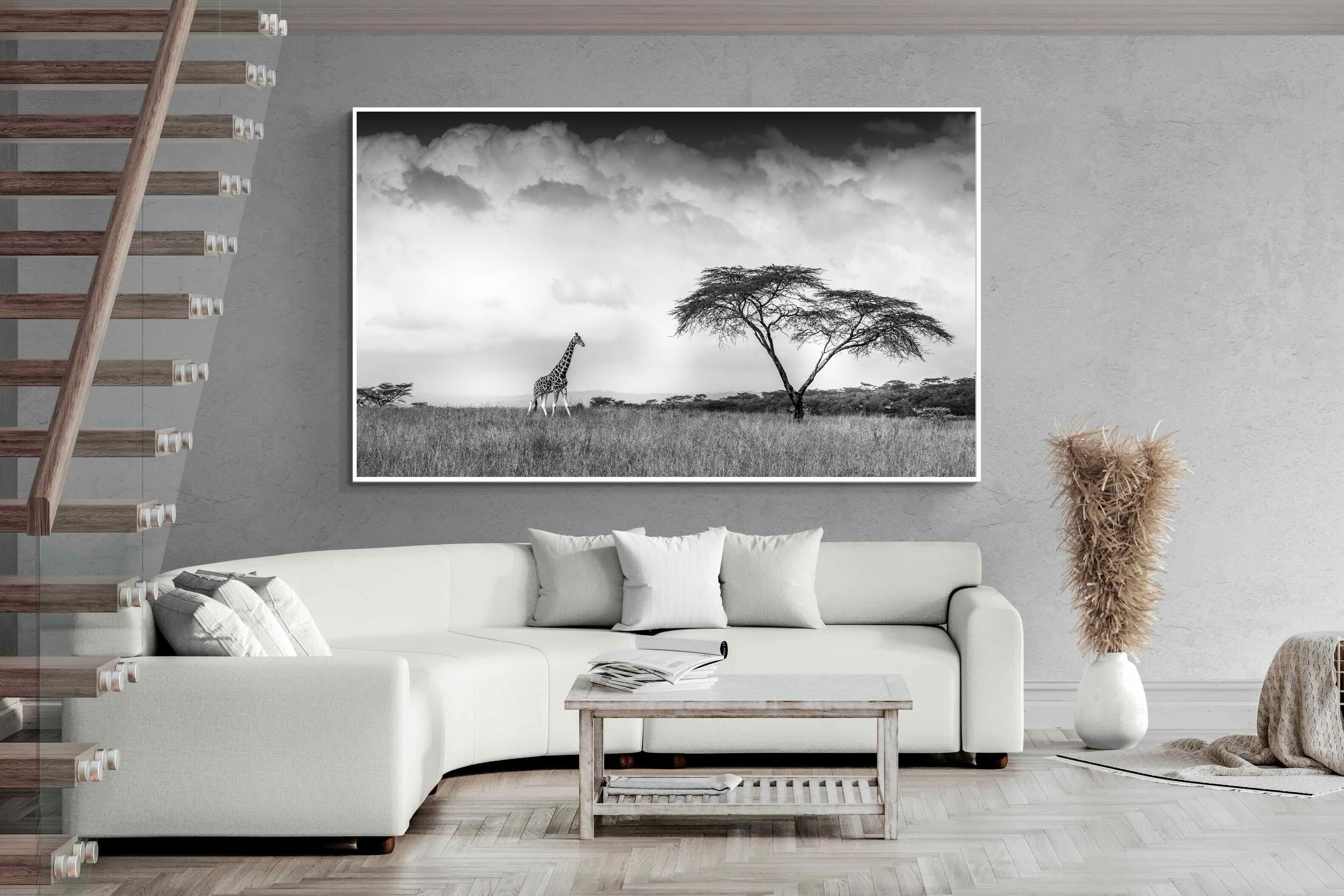 Pixalot ® Stormy Africa