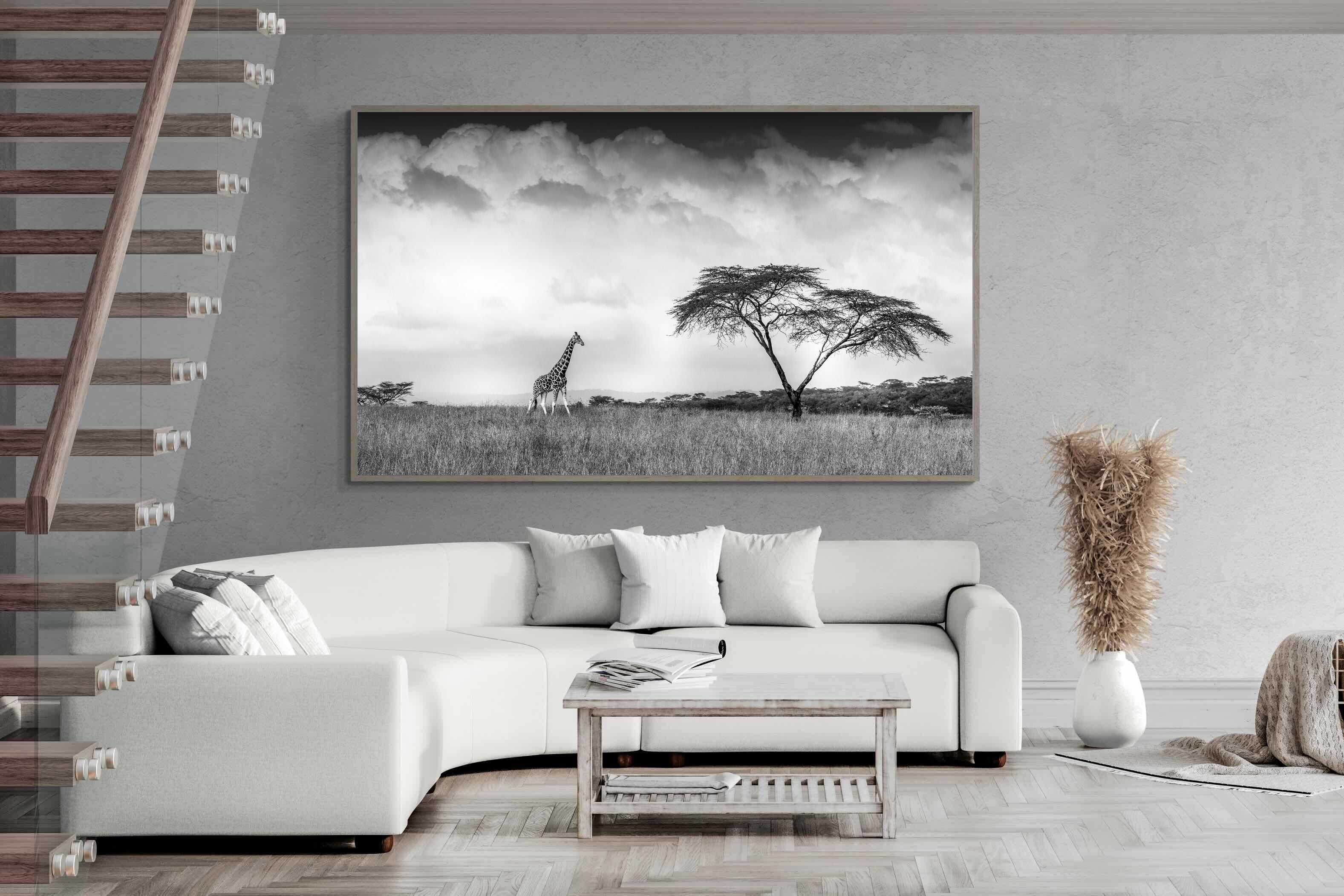 Pixalot ® Stormy Africa