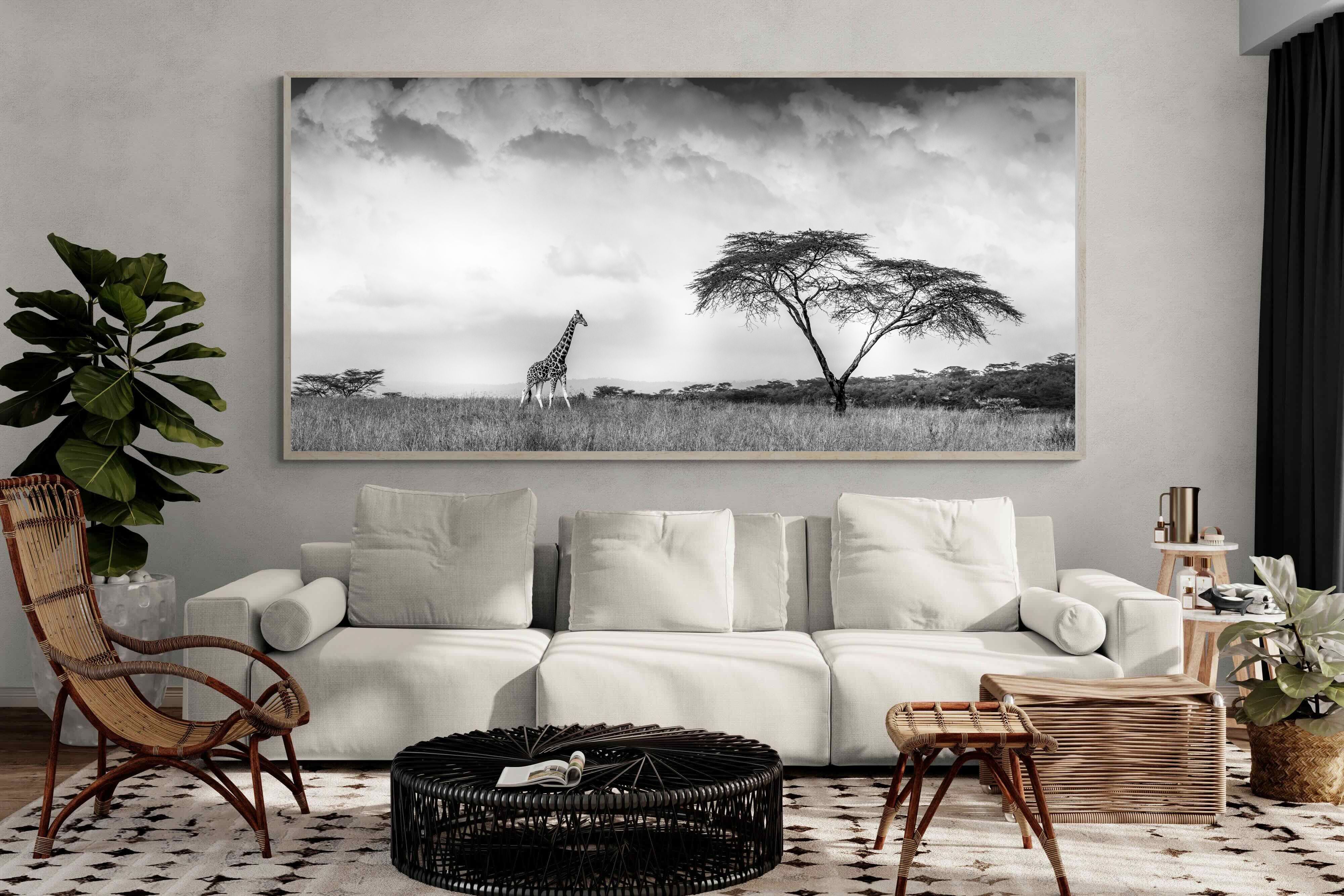 Pixalot ® Stormy Africa