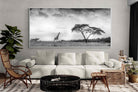 Pixalot ® Stormy Africa