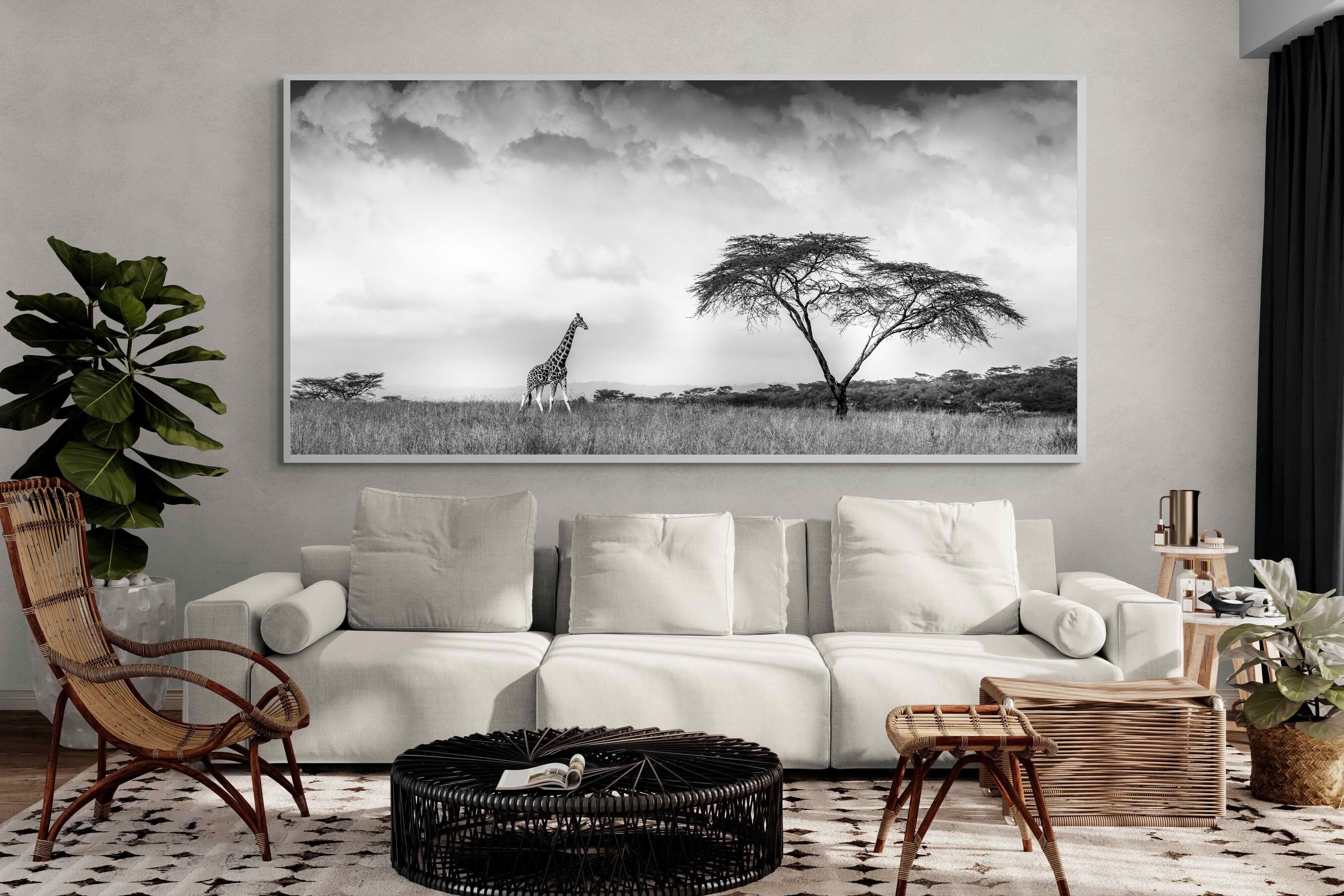 Pixalot ® Stormy Africa