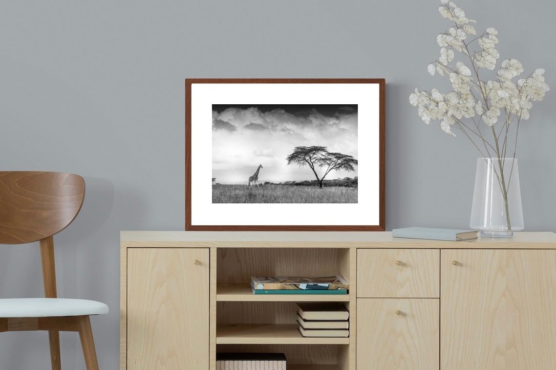 Pixalot ® Stormy Africa