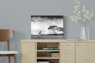 Pixalot ® Stormy Africa