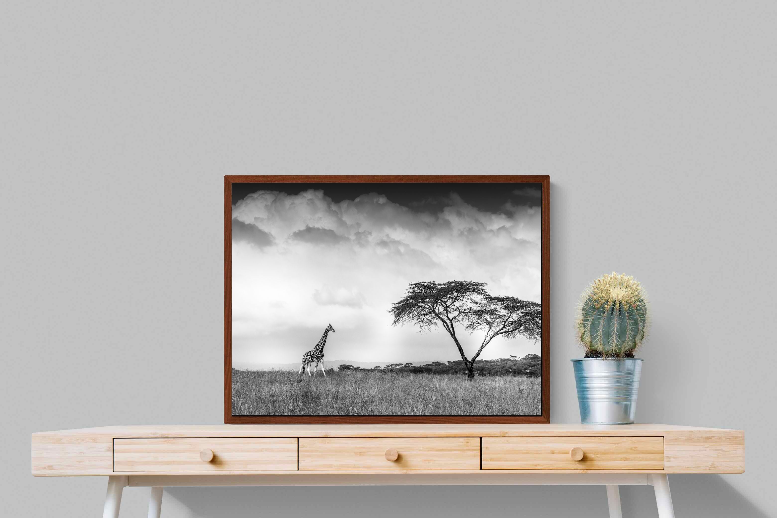 Pixalot ® Stormy Africa