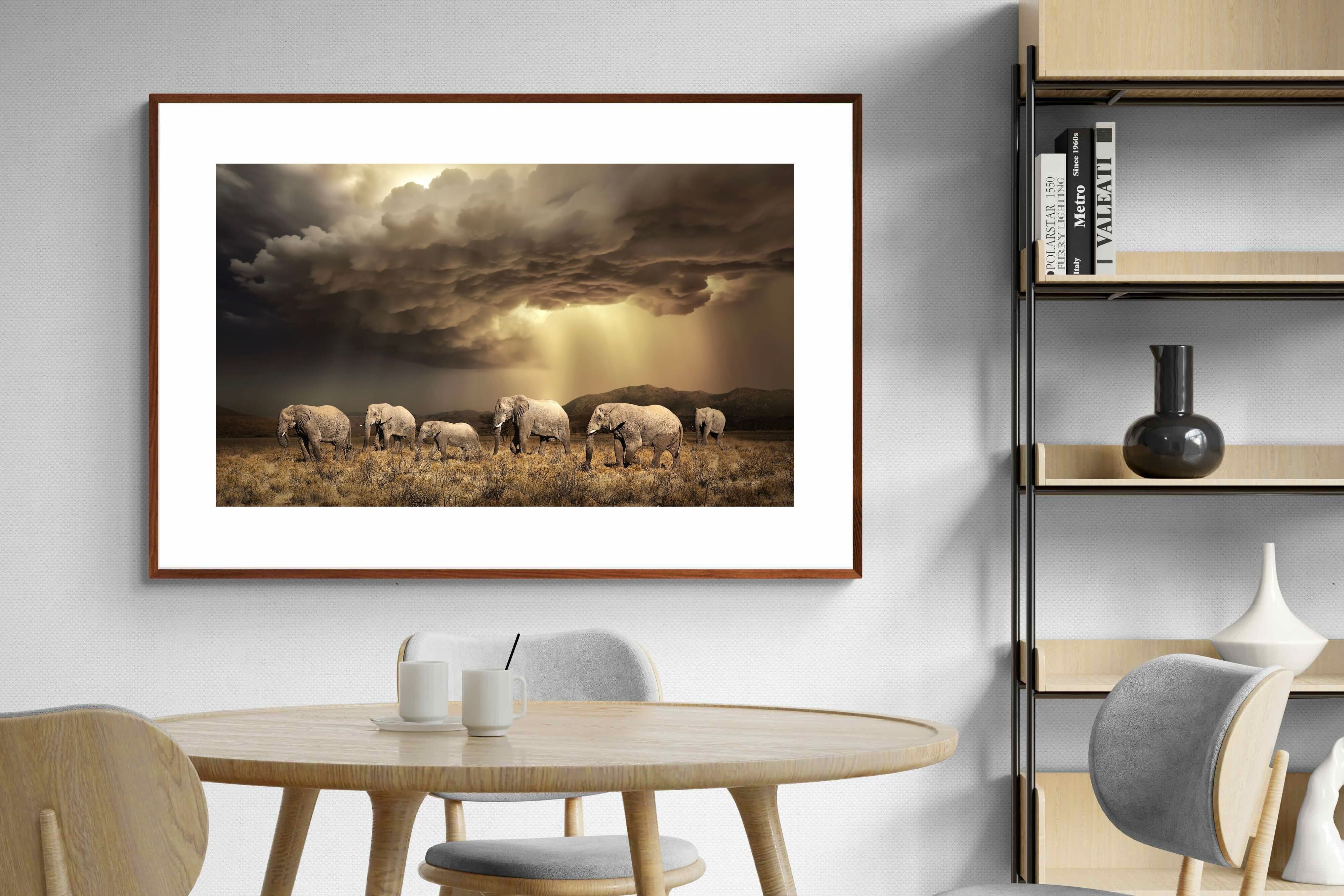 Pixalot Stormy Herd