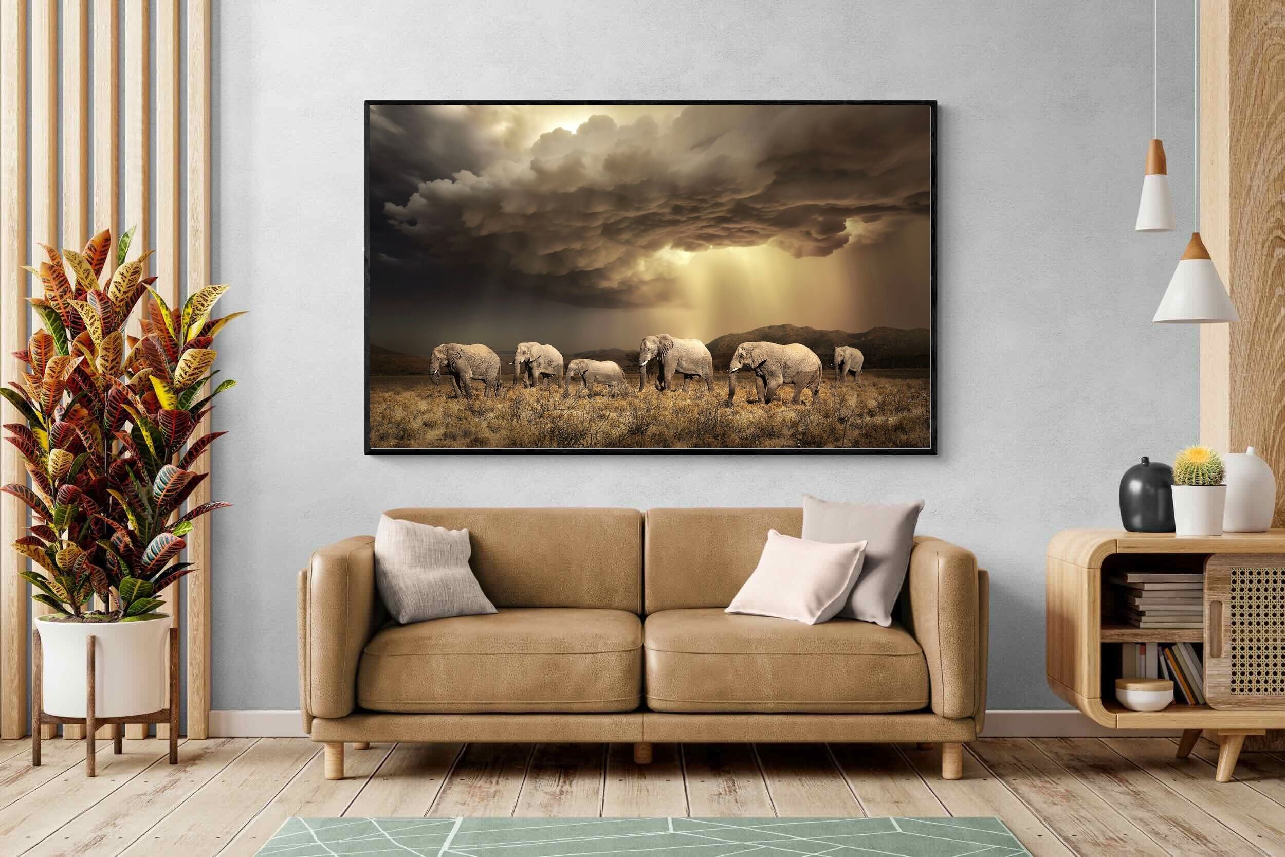 Pixalot Stormy Herd