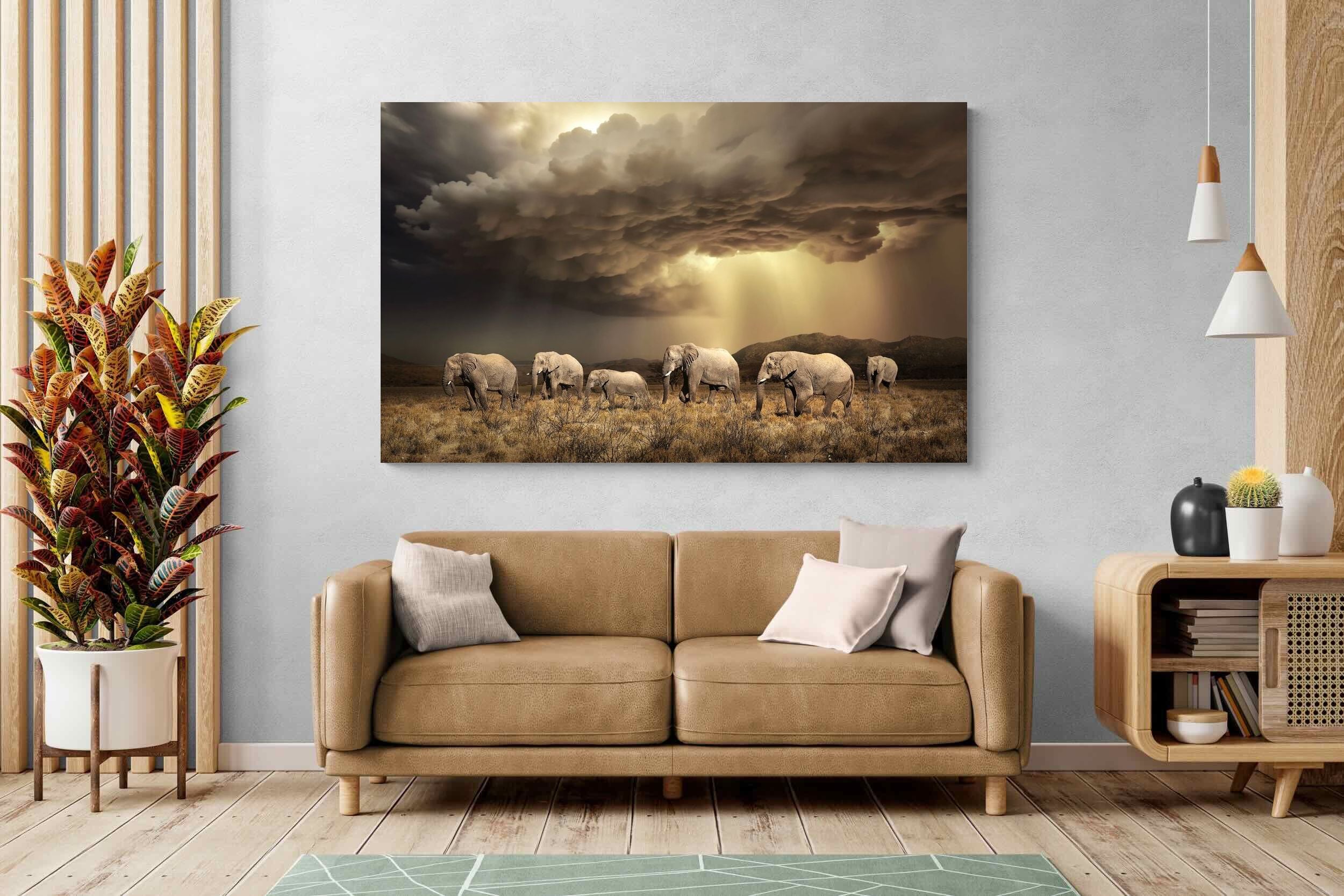 Pixalot Stormy Herd