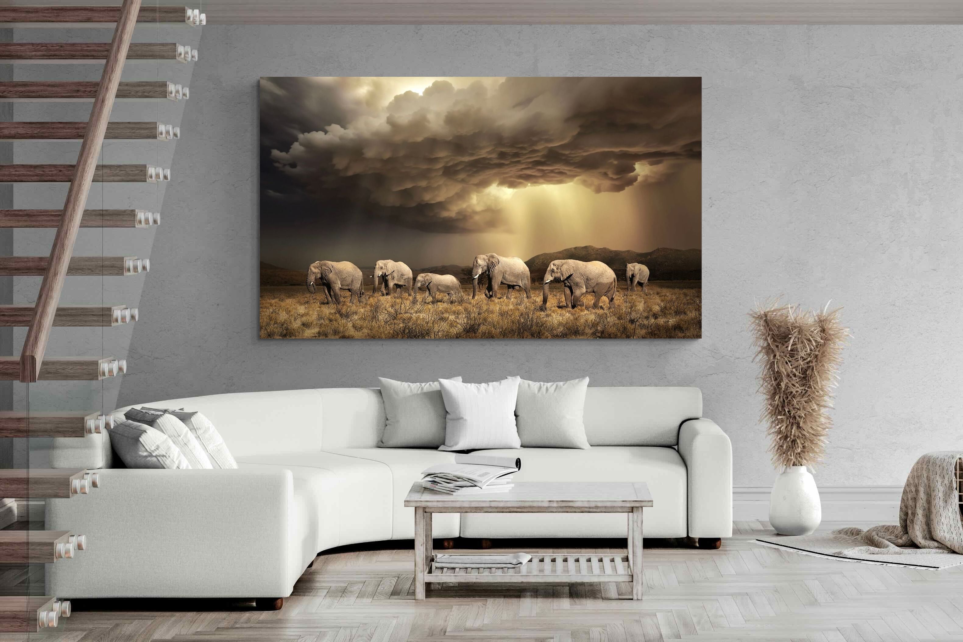Pixalot Stormy Herd