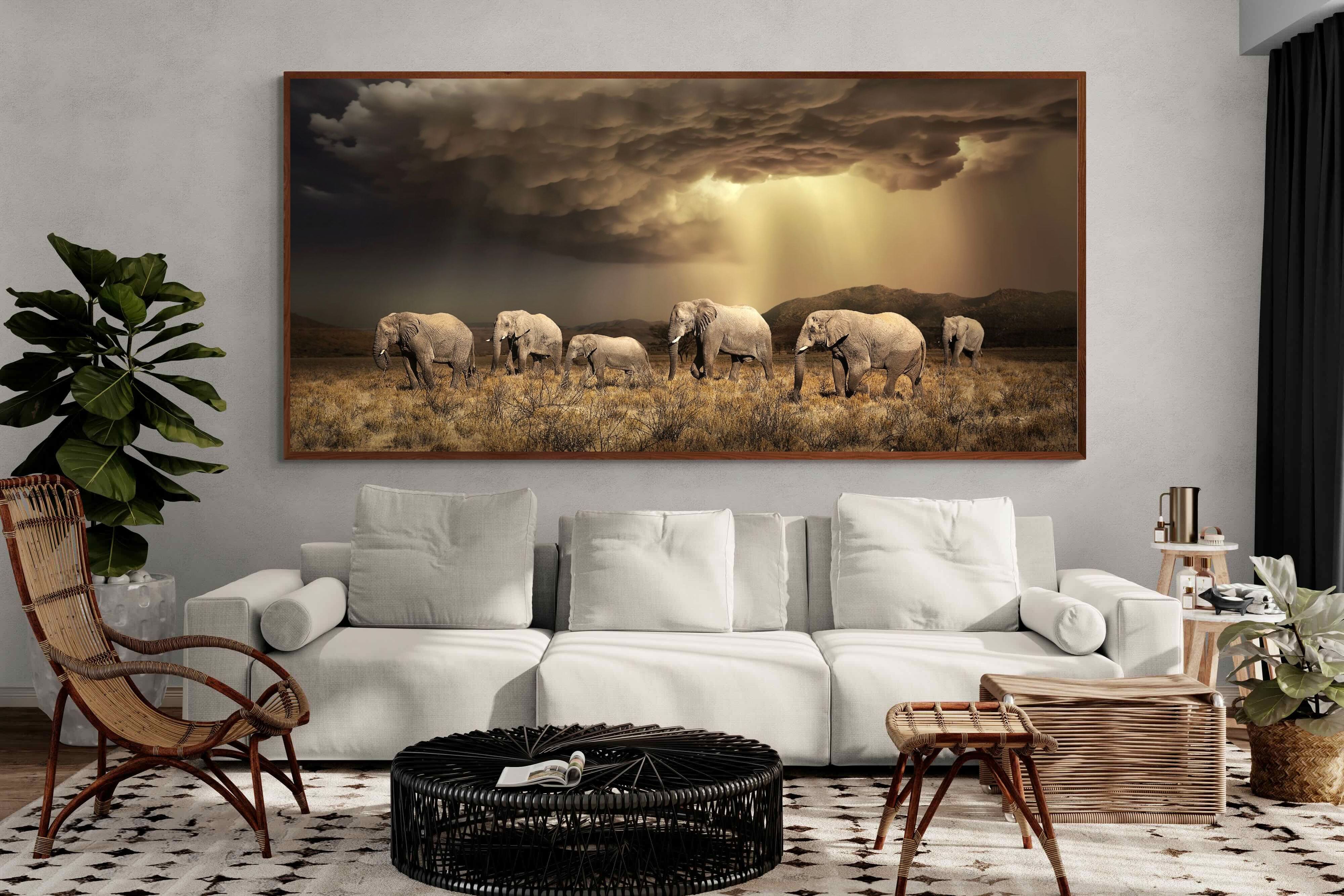Pixalot Stormy Herd