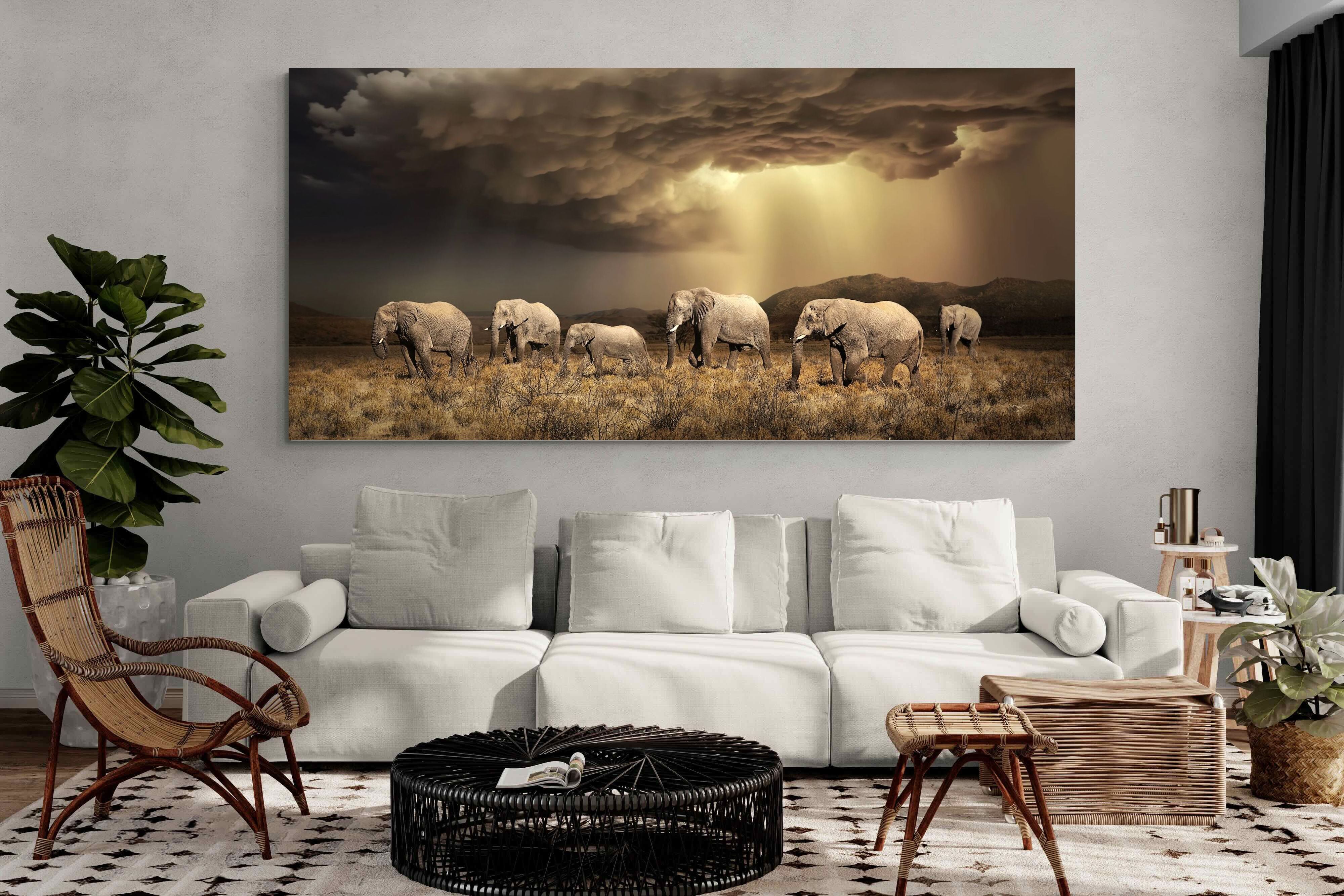 Pixalot Stormy Herd